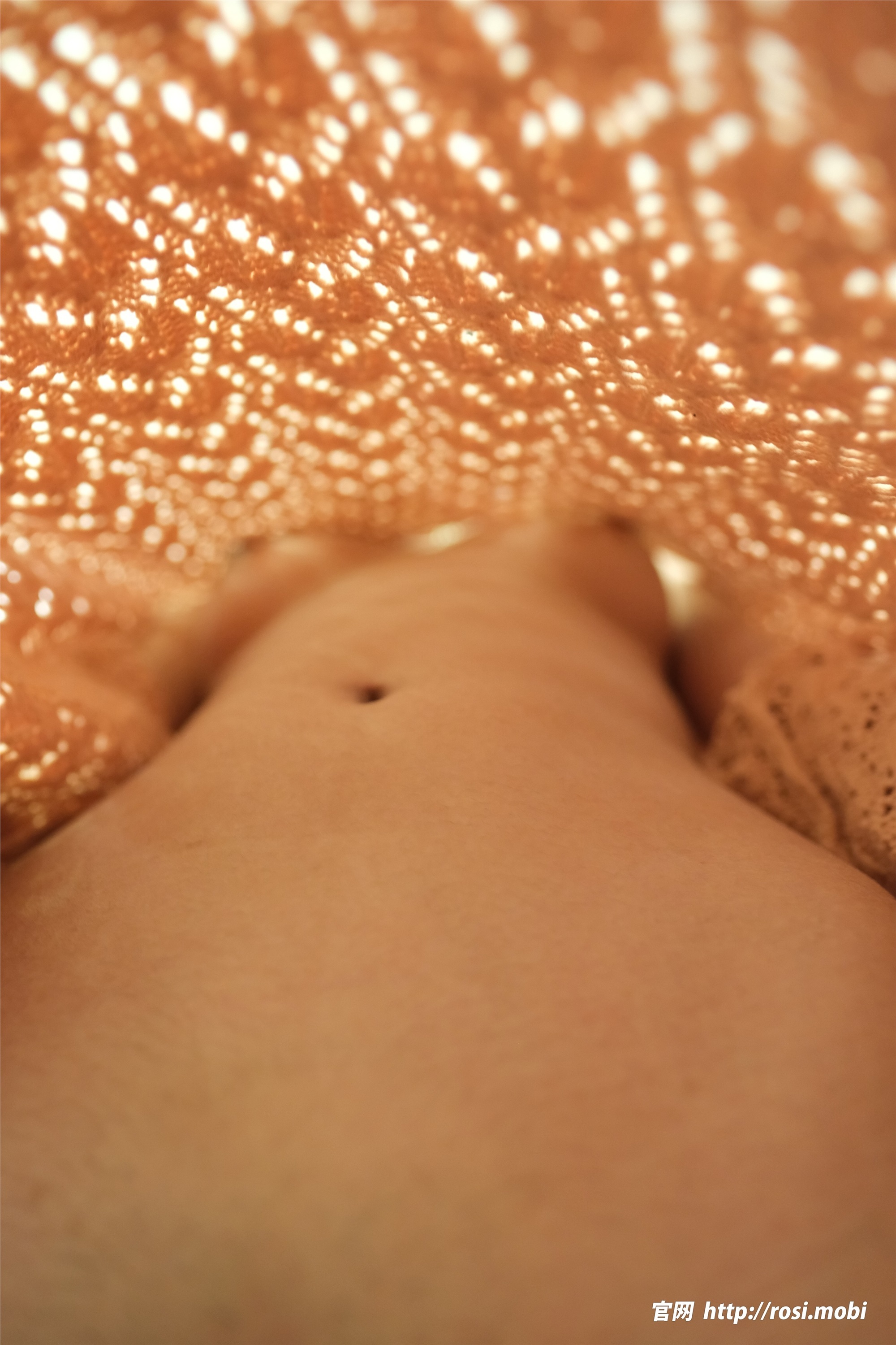 ROSI写真 2025.02.19 NO.4825